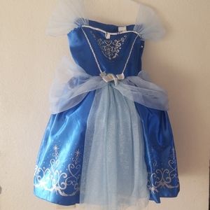 Cinderella Costume